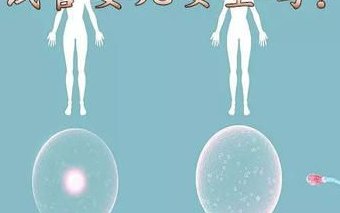 女性不孕子宫畸形可以通过试管婴儿治疗成功生孩子吗？