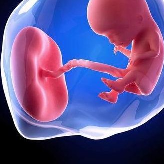 2026鞍山妇儿医院试管婴儿收费标准贵吗