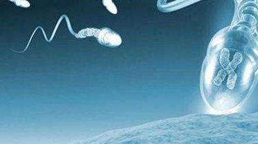 安徽三代试管是怎么生子的？2026安徽三代试管套餐价格收费标准