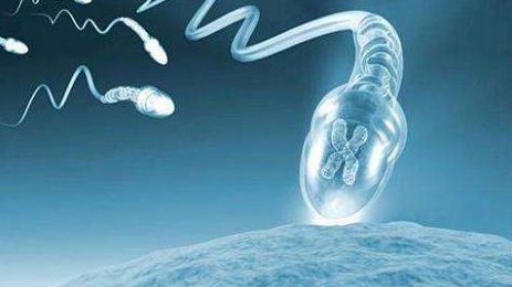 女性子宫切除后还能做试管助孕吗？附切除子宫对女性的影响