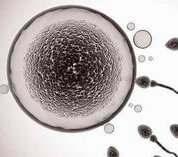 在宁波做试管婴儿成功率高吗？哪些因素会影响成功率？