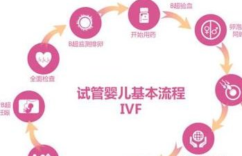 2026南昌试管婴儿医院推荐 影响试管成功率的因素有哪些？